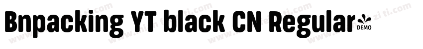 Bnpacking YT black CN Regular字体转换